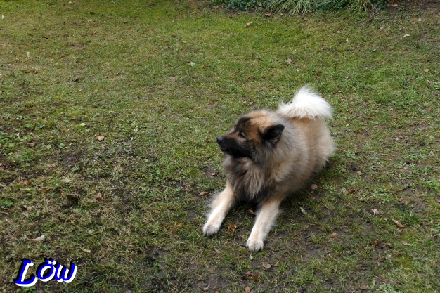 11.12.2025 - Aus die Maus